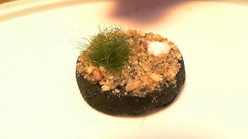 Making Static Grass Part 3 - Result & Applying Static Grass