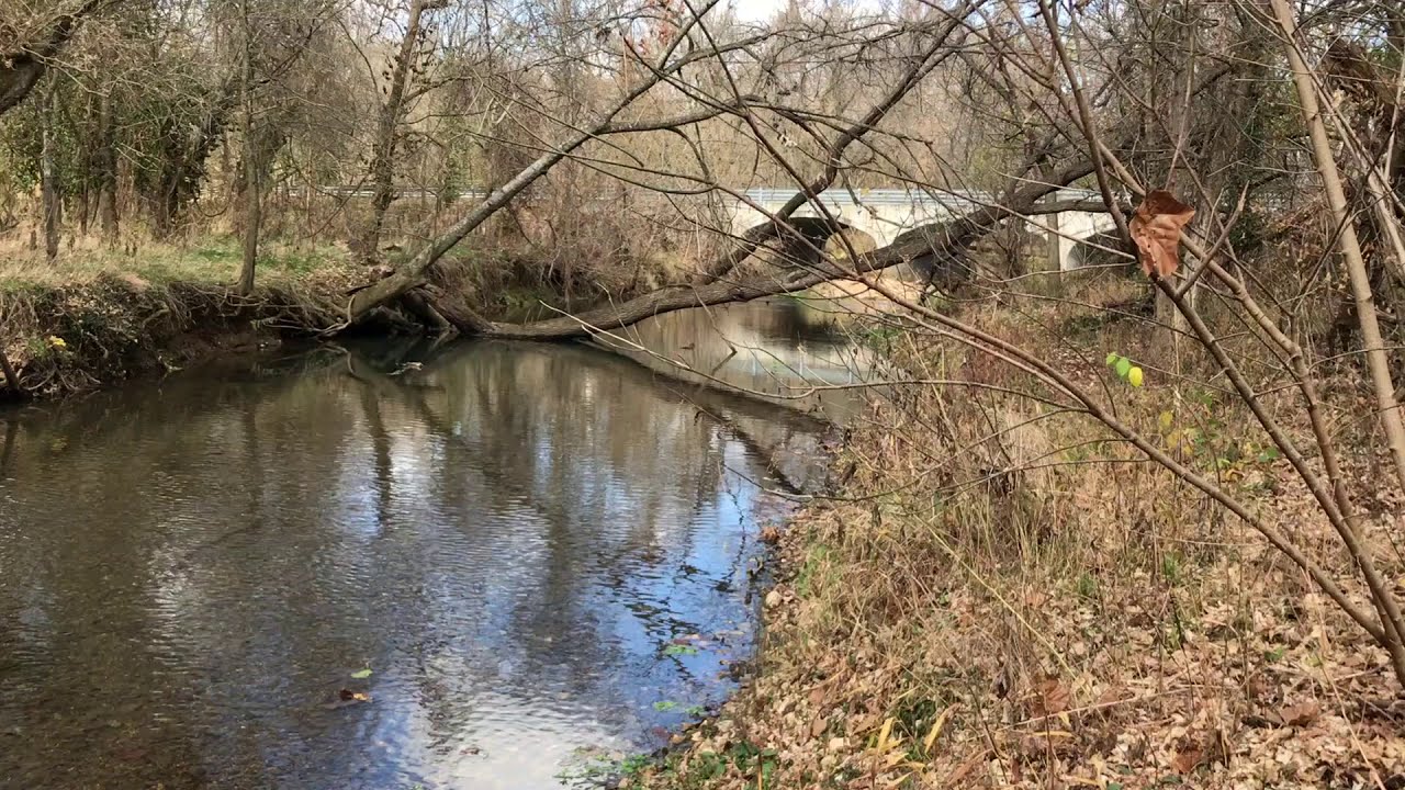 Crane CreekWild TroutBlue Ribbon Trout Crane, Missouri Missouri