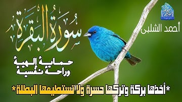 سورة البقرة | أخذها بركة وتركها حسرة ولا تستطيعها البطلة| حماية إلهية ـ للقارئ أحمد الشلبى #البقرة