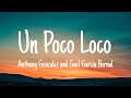 Anthony Gonzalez and Gael García Bernal -  un poco loco (lyrics )