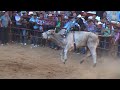 EL RUSO VS ANDALIEGO DE TLALIXTAC OAXACA LOS DESTRUCTORES EN LA MONUMENTAL DE MORELIA 13/03/2016