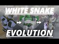 [YBA] White Snake Evolution!!!