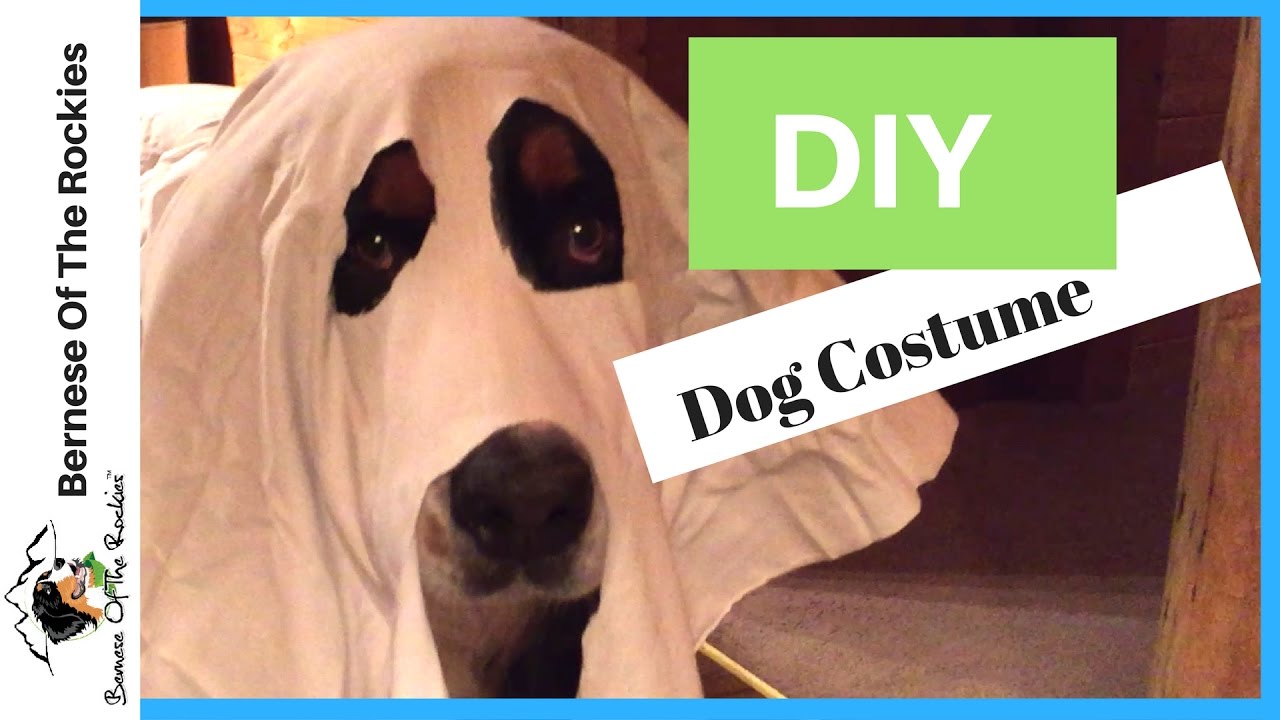 how to make a ghost dog costume