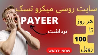 کسب درآمد دلاری اینترنتی واقعی رایگان|درامد از میکرو تسک با سایت روسی | تا 100 روبل در روز