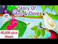 story of ant and dove | story for kids | story time | cartoon for kids and toddlers