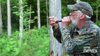 Hunting for Bigfoot in northern Minnesota