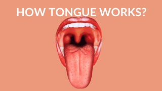 How Your Tongue Works? | Human Tongue Video