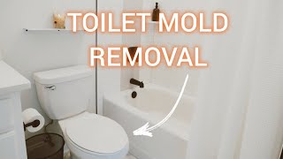 How To REMOVE MOLD from the Toilet in Less Than 10 Minutes! #toiletcleaning #moldremoval