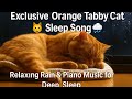 Exclusive Orange Tabby Cat Sleep Song 🐱🌧️ | Relaxing Rain & Piano Music for Deep Sleep