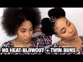EASY NO HEAT BLOWOUT ON 4C NATURAL HAIR |  + TWIN BUNS