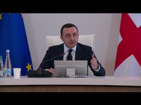 ირაკლი ღარიბაშვილის განცხადებები მთავრობის სხდომაზე