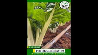 smart irrigation for small farms using Drip irrigation