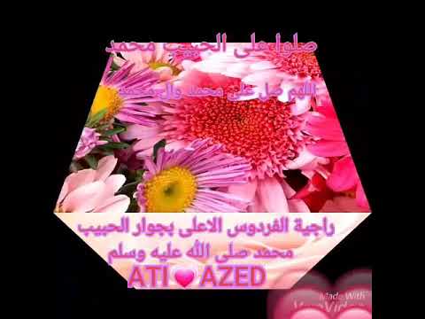 بحبك و باريدك و اتمنى ابوس ايدك