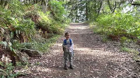 Leo Cronin fish viewing area to McCurdy Trail, Bol...