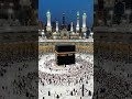 tere haram ki baat maula Naat mubarak #salam #allah #love #thankyouallah