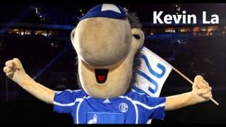 FC Schalke 04 - Musik Mix