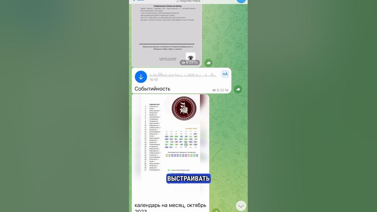 Сопровождение по работе с программой. Сопровождение по работе с программой