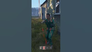 Dodging Bullets | Dayz Short