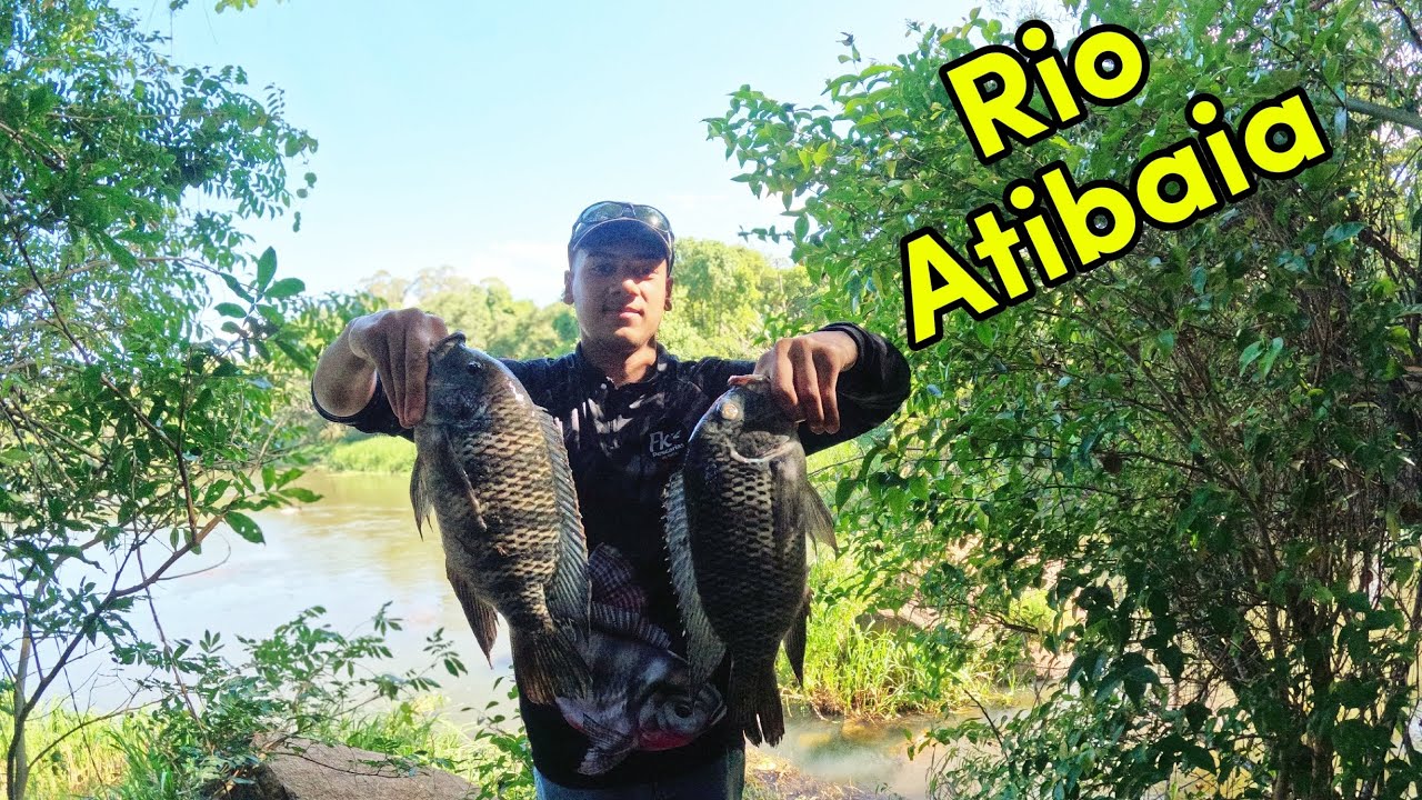 Rio Atibaia!! O Rio das Tilápia Gigantes!!!🎣🐟