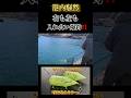港内騒然‼️右も左も爆釣漁港