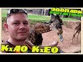 Кхао Кхео Открытый Зоопарк/ Khao Kheow Open Zoo/Фотосессия/Паттайя/Шоу животных/