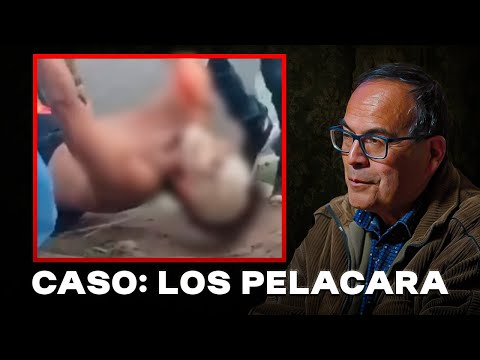 LOS PELACARA: EL TERROR DE AMAZONAS