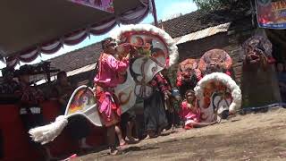 Download Lagu Perang Celeng MAYANGKORO ORIGINAL Live Bulusari 2 MP3