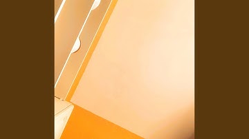 taxidermy sunset (demo)