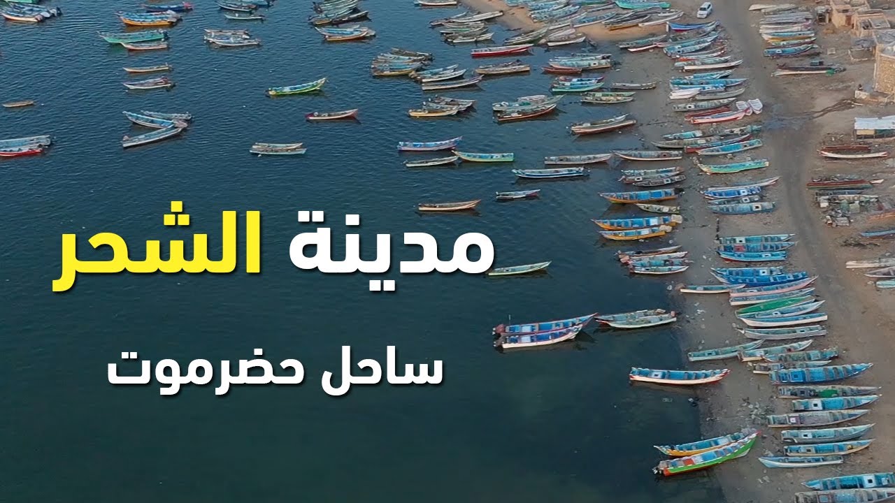 ماذا تعرفون عن مدينة الشحر في ساحل حضرموت وسدة العيدروس