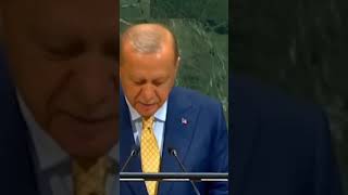 Эрдоган намерен продвигать стамбульские переговоры по урегулированию конфликта на Украине