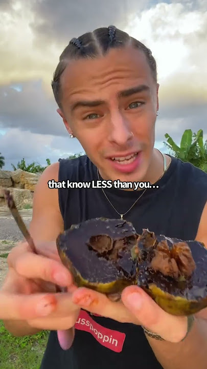 BLACK SAPOTE FROM MIAMIFRUIT