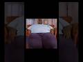 Someone Had To Ask 😂 | #lol #funny #hilarious #memes #my600lblife #funnyshorts #funnyvideo #comedy