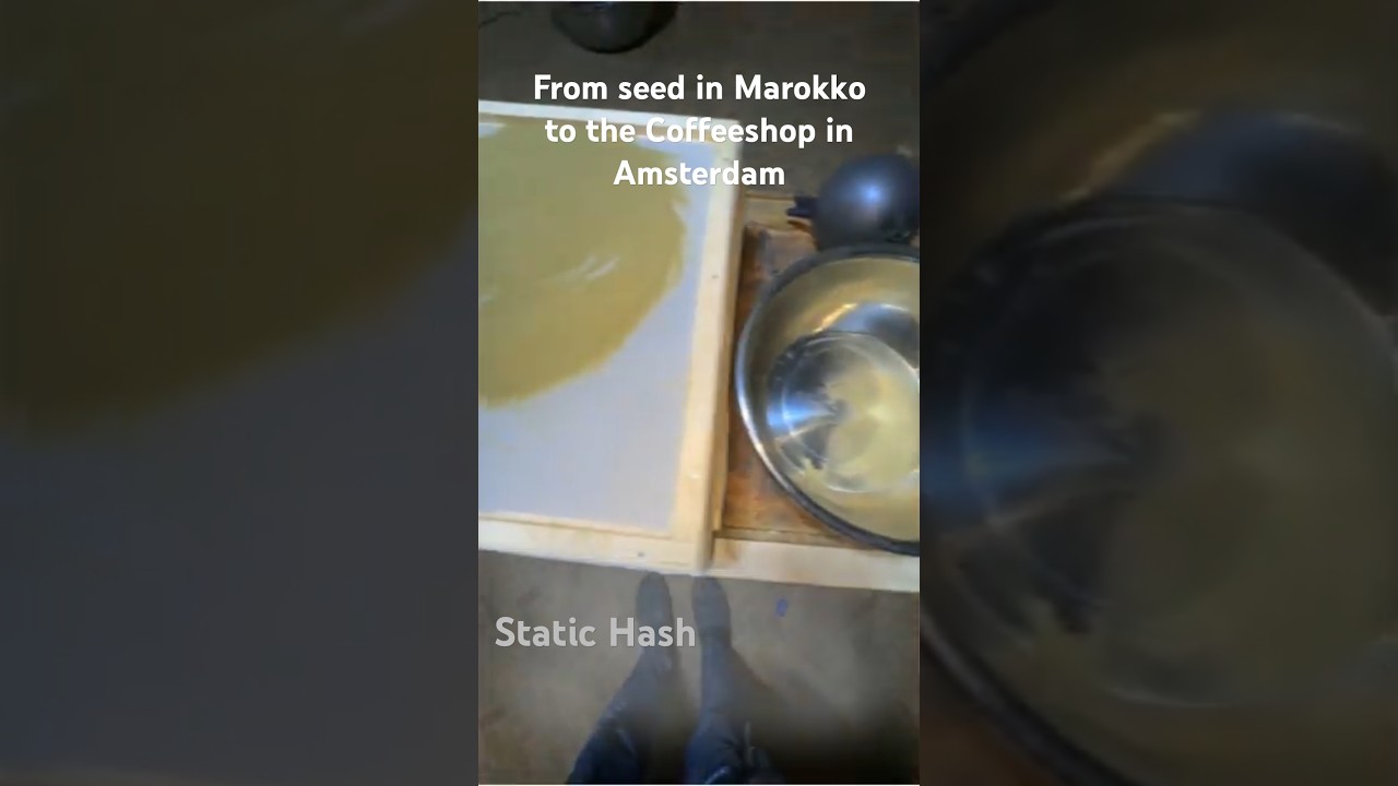 🔥 Morocco to Amsterdam. How its made in Morocco! 🇲🇦💨