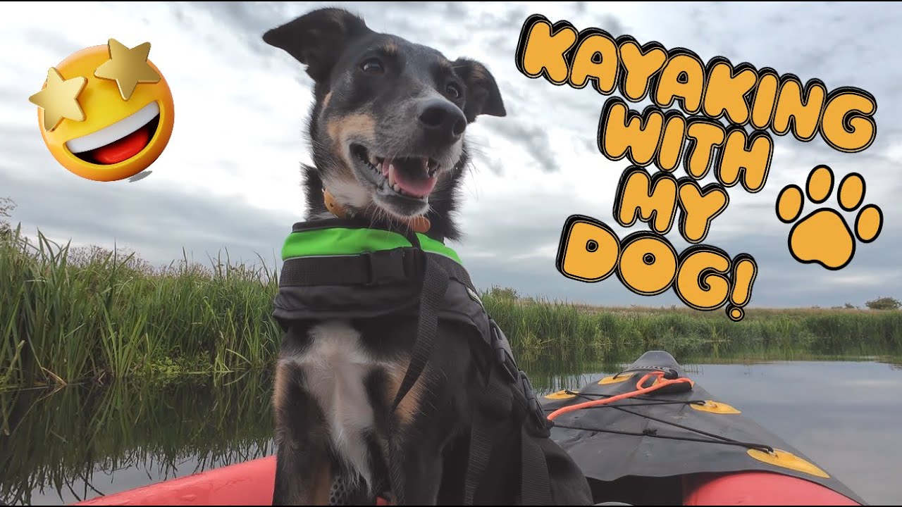 Inflatable Kayaking With My Dog For the First Time - TOTAL CHAOS or New Adventures Unlocked?