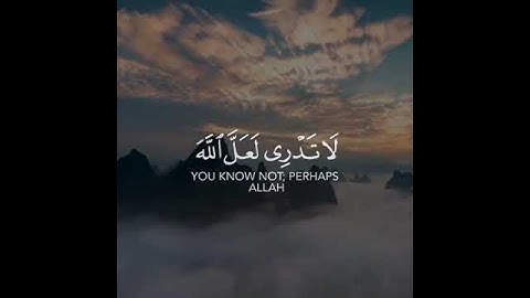 لا تدري لعل الله يحدث بعد ذلك أمرا #مقاطع قصيرة #قرآن #تلاوة #quran 💙