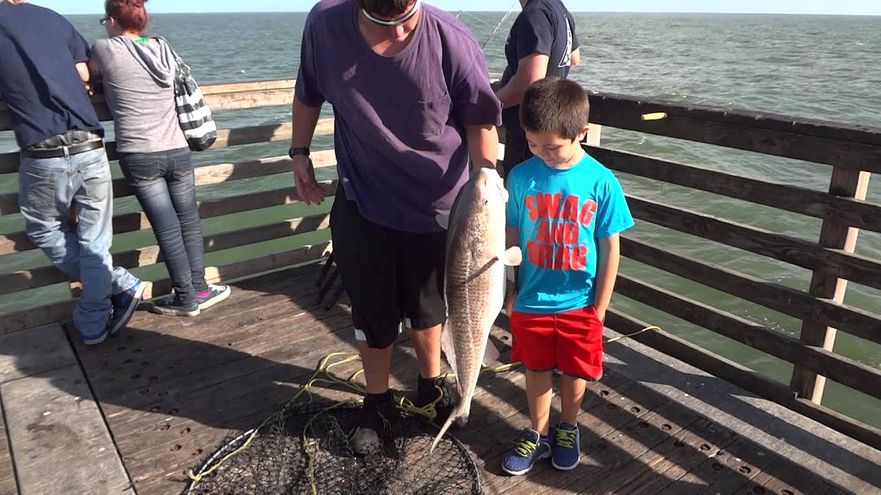 Jacksonville Beach Fishing Pier Red Drum Catch YouTube jacksonville-beach-fishing-pier-red-drum-catch-youtube