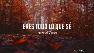Imagine Dragons - The Fall (sub.español   lyrics)
