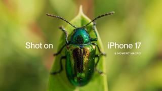 This iPhone Macro Lens is SO GOOD! This iPhone Macro Lens is SO GOOD!