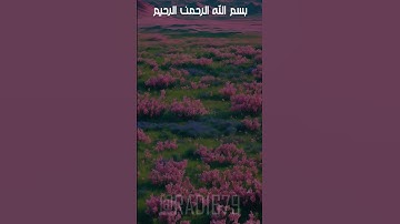 تلاوة هادئة وجميلة بصوت الشيخ ماهر المعيقلي  #اكسبلور #قرآن #foryou #quran  #ماهر_المعيقلي