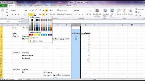 Financial Statements Version FSV Concept