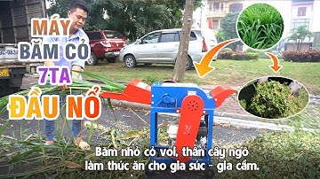 Máy Băm Cỏ 7TA Đầu Nổ Băm Cỏ Khắp Mọi Nơi KHông Cần Điện.