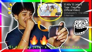 El Alfa “el jefe” x Tyga- Trap Pea 🔥 *Reaction* [MUST WATCH]