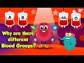The Importance Of Blood Types And Their Role In Health