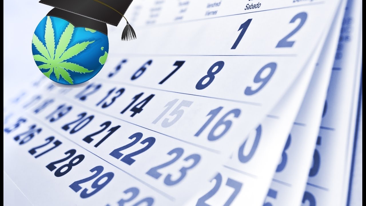 Does Weed Get Stronger OR Better With Age?