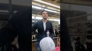 مزرعه لمار مع اطفالنا الشيخ زايد