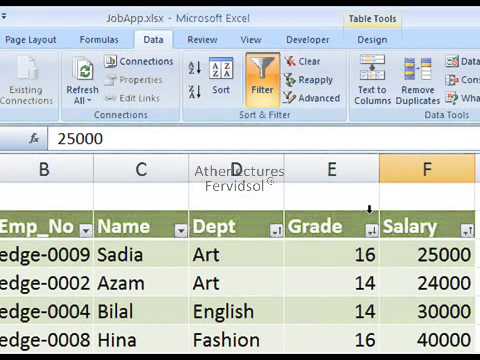 Lecture No 14 Advance Filter Ms Excel 2007 Training In Urdu Youtube