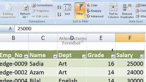 Lecture No:14 Advance Filter Ms Excel 2007 Training in Urdu