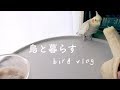 盗み食い 日光浴 おしゃべり オカメとセキセイの日常 Cockatiel Budgie vlog