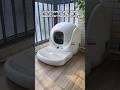 #catproducts #cat #catdance #catlitterbox #petproducts #catlink #cathealth #cattok