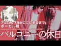 伊勢正三 バルコニーの休日 アルバム「海がここに来るまで」 ボーカル無しバージョン